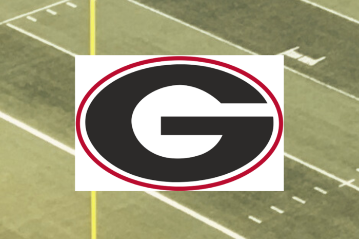 Georgia Bulldogs Braves Hawks Falcons 4 teams sports circle logo